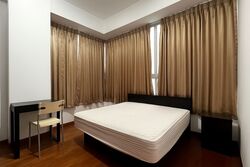 The Parc Condominium (D5), Condominium #502825261